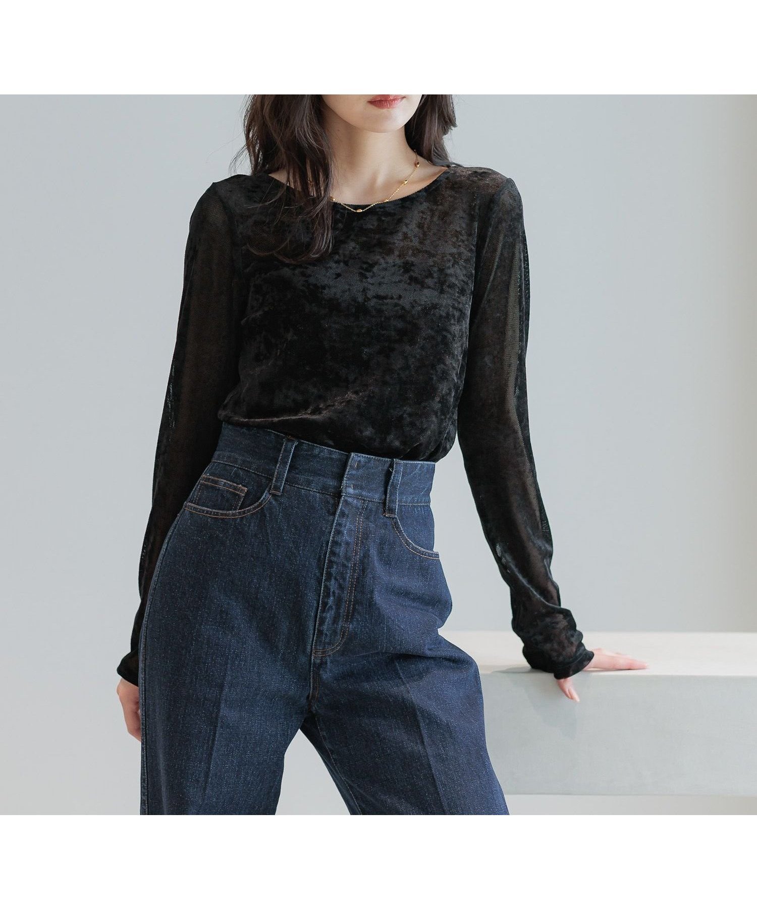 【アンデミュウ/Andemiu】のメッシュベロアトップス インテリア・キッズ・メンズ・レディースファッション・服の通販 founy(ファニー) ファッション Fashion レディースファッション Fashion for Women トップス・カットソー Cut & Sew Tops ベロアトップス Velour Tops / Velvet-Look Items おすすめ Recommended / Our Picks インナー Innerwear ジャケット Jacket, Outerwear フィット Fit, Slim Fit メッシュ Mesh, Net Fabric エレガント 上品 Elegant 冬 Winter / This Winter 秋 Autumn 透かし Cut-Out, Lacework ブラック|ID: prp329100004809092 ipo3291000000034901811