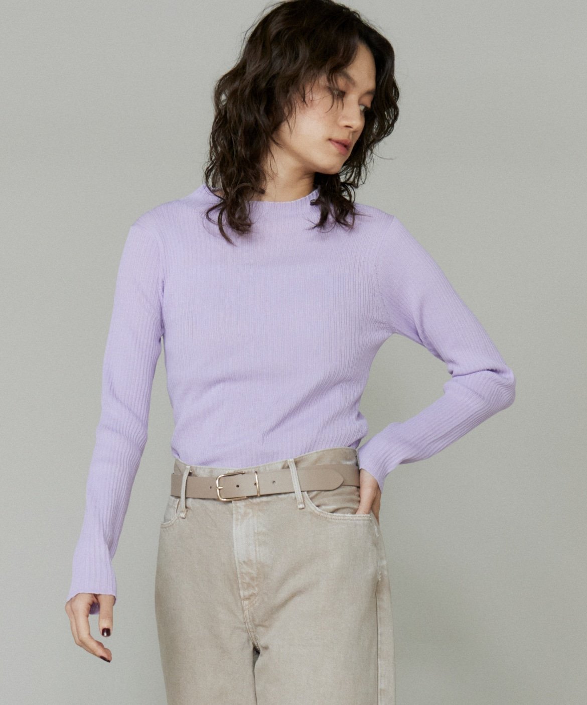 【イネド/INED】のシアーハイネックプルオーバー《YVON》 インテリア・キッズ・メンズ・レディースファッション・服の通販 founy(ファニー) 　ファッション　Fashion　レディースファッション　Fashion for Women　トップス・カットソー　Cut & Sew Tops　カジュアルプルオーバー・ニットトップス　Pullovers & Knit Tops / Casual Pullovers　シンプル　Simple, Minimal　スマート　Smart, Elegant　ハイネック　High Neck, Mock Neck　ボトム　Bottoms, Lower Wear　ラベンダー|ID: prp329100004809473 ipo3291000000034904946