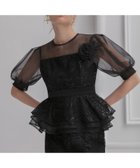 【レジャ/Leja】のLEJA-ローズペプラムIラインワンピースドレス結婚式オケージョンレディース 人気、トレンドファッション・服の通販 founy(ファニー) ファッション Fashion レディースファッション Fashion for Women ワンピース Dresses フォーマル・パーティードレス・結婚式用ドレス Elegant & Casual Dresses エレガント 上品 Elegant オーガンジー Organza Fabric クラシカル Classical, Vintage-Inspired スリット Slit, Slit Detail スリーブ Sleeve, Long Sleeve / Short Sleeve ドレス Dress, One-Piece フラワー Flower, Floral ペプラム Peplum, Flared Hem モチーフ Motif, Design Theme レース Lace, Lace Fabric ローズ Rose, Rose Motif 結婚式 Wedding thumbnail BLACK|ID: prp329100004809722 ipo3291000000034906872