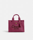 【コーチ/COACH】のカーゴ トート 26 人気、トレンドファッション・服の通販 founy(ファニー) ファッション Fashion レディースファッション Fashion for Women バッグ Bags キャンバス Canvas, Canvas Fabric グログラン Grosgrain, Grosgrain Ribbon ニューヨーク New York, NYC Style ポケット Pocket, Pocket Detail ラップ Wrap, Wrap Design ギフト プレゼント Gift / Present thumbnail PINK|ID: prp329100004811376 ipo3291000000034924780