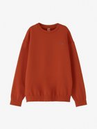 【ザ ノース フェイス/THE NORTH FACE / MEN】の【公式】ラリーオンロッククルー(メンズ) フェイドラステッドブロンズ|ID: prp329100004812230 ipo3291000000034933811