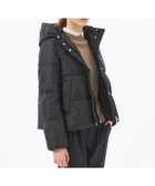 【マッキントッシュ フィロソフィー/MACKINTOSH PHILOSOPHY】の【WEB 一部店舗限定】グロッシーショートダウン 人気、トレンドファッション・服の通販 founy(ファニー) ファッション Fashion レディースファッション Fashion for Women おすすめ Recommended / Our Picks タフタ Taffeta, Structured Fabric エレガント 上品 Elegant 冬 Winter / This Winter 秋 Autumn thumbnail ブラック|ID: prp329100004812376 ipo3291000000034934822