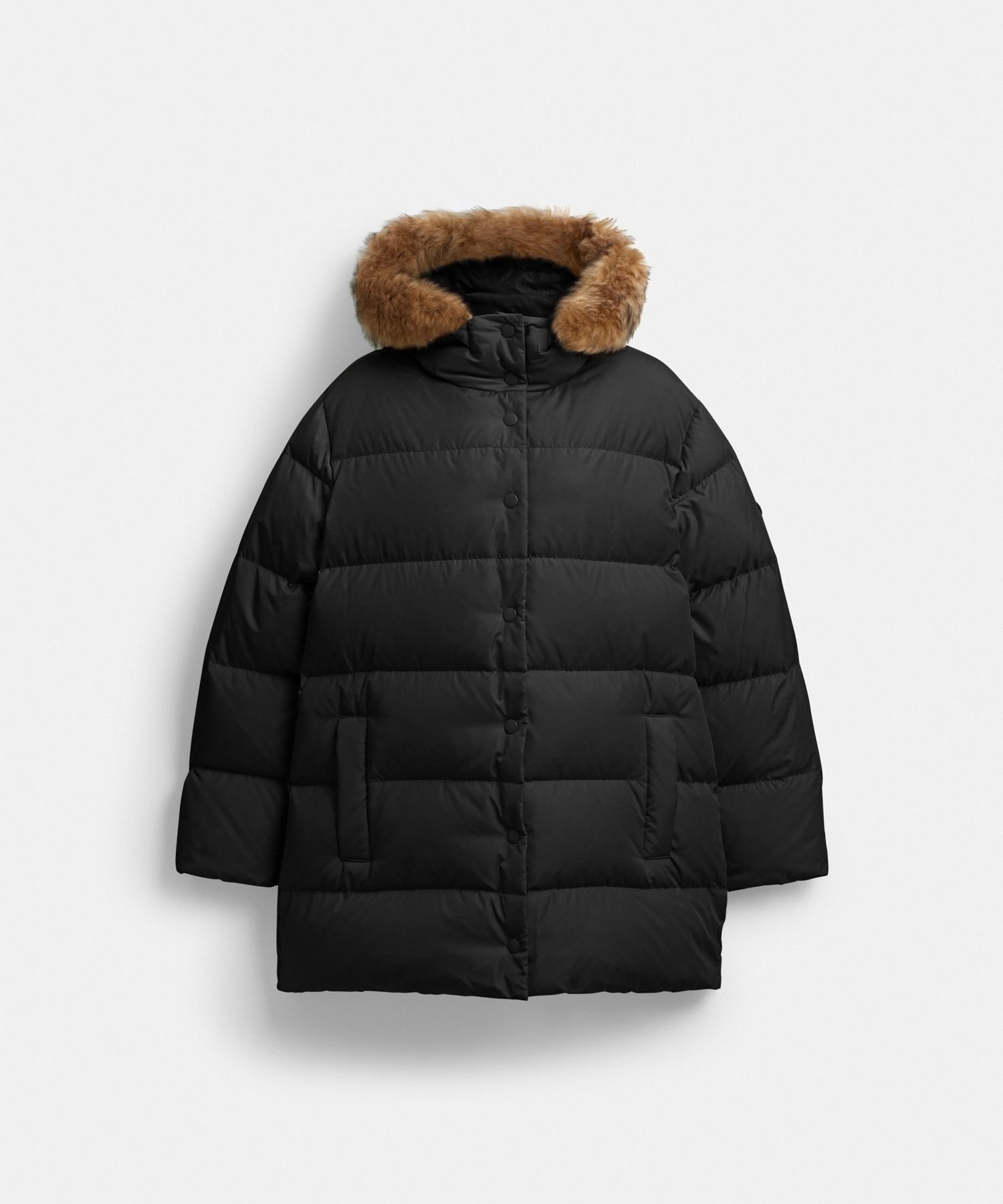 【コーチ/COACH】の【公式】ミッド パッファー コート・シアリング インテリア・キッズ・メンズ・レディースファッション・服の通販 founy(ファニー) 　ファッション　Fashion　レディースファッション　Fashion for Women　アウター　Coat / Outerwear Collection　コート・ロングコート・ピーコート　Long Coats, Peacoats & More　アウトレット　Outlet / Clearance　シューズ　Shoes, Footwear　ダウン　Down, Puffer　フェザー　Feather, Feather Detail　フラップ　Flap, Flap Pocket　フロント　Front, Front Design　ポケット　Pocket, Pocket Detail　洗える　Machine Washable　財布　Wallet, Purse　BLACK|ID: prp329100004812480 ipo3291000000034935760