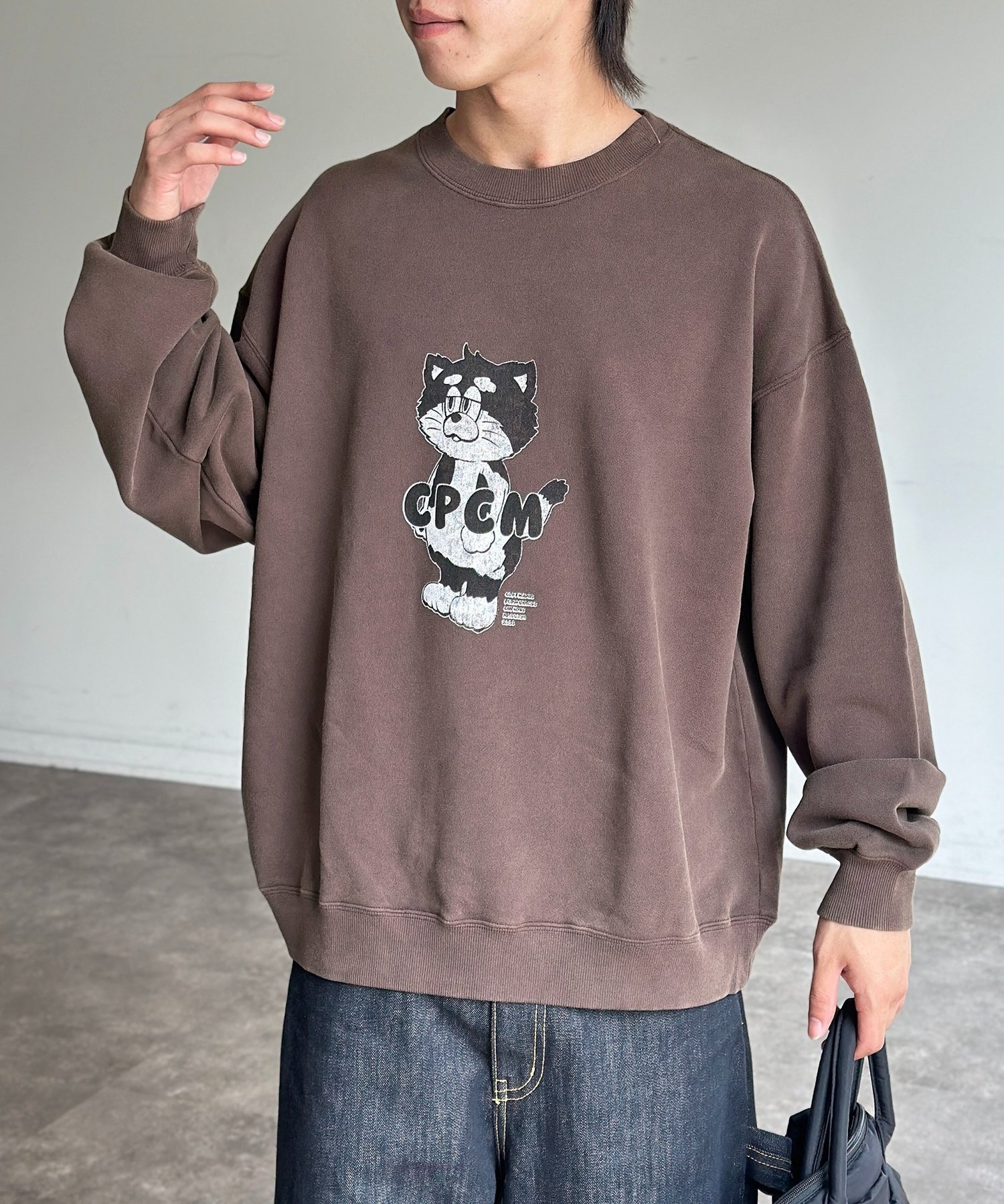 【シーピーシーエム/CPCM】の【ANYMAL】マスコットキャラスウェット インテリア・キッズ・メンズ・レディースファッション・服の通販 founy(ファニー) 　ファッション　Fashion　レディースファッション　Fashion for Women　トップス・カットソー　Cut & Sew Tops　レディースパーカー・カジュアルフーディー　Casual Hoodies & Sweatshirts　スウェット・クルーネックトップス　Sweatshirts & Crewnecks / Relaxed Fit Sweat Tops　ガーリー　Girly, Feminine Style　キャラクター　Character, Licensed Characters　スウェット / スエット　Sweatshirt, Sweatwear　チュニック　Tunic, Long Top　ネコ　Cat, Feline Motif　ブルゾン　Blouson, Bomber Jacket　ミリタリー　Military, Army Style　ライナー　Liner, Inner Layer　おすすめ　Recommended / Our Picks　ブラウン|ID: prp329100004814610 ipo3291000000034968417