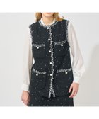 【アナイ/ANAYI】の【Eternal Line 2025】ミニドットツイード4ポケットジレ 人気、トレンドファッション・服の通販 founy(ファニー) ファッション Fashion レディースファッション Fashion for Women アウター Coat / Outerwear Collection トップス・カットソー Cut & Sew Tops ベスト&ジレ / 重ね着スタイル Vests & Gilets オケージョン Occasion Wear 春 Spring スマート Smart, Elegant セットアップ Set-Up, Coordinated Outfit 雑誌 Magazine, Fashion Magazine ツイード Twill, Twill Weave パーティ Party, Party Style パール Pearl, Pearl Accent フォーマル Formal, Dressy ブレード Braid, Decorative Trim ポケット Pocket, Pocket Detail ポンポン Pom-Pom, Fluffy Ball モノトーン Monotone, Black and White ランダム Random, Irregular 再入荷 Restock / Back in Stock セレモニー Ceremony 入学式 Entrance Ceremony 卒業式 Graduation Ceremony 結婚式 Wedding ビジネス 仕事 通勤 Business / Work / Commuting thumbnail black|ID: prp329100004816549 ipo3291000000034985316