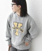 【シップス フォー ウィメン/SHIPS】の【WEB限定】SHIPS any NATIONAL PARK プリント スウェット 23AW 人気、トレンドファッション・服の通販 founy(ファニー) ファッション Fashion レディースファッション Fashion for Women トップス・カットソー Cut & Sew Tops レディースパーカー・カジュアルフーディー Casual Hoodies & Sweatshirts スウェット・クルーネックトップス Sweatshirts & Crewnecks / Relaxed Fit Sweat Tops インナー Innerwear クッション Cushion, Throw Pillow シルバー Silver, Metallic Silver スウェット / スエット Sweatshirt, Sweatwear トレンド Trend, Trending Now フロント Front, Front Design プリント Print, Printed Pattern 冬 Winter / This Winter おすすめ Recommended / Our Picks 2023年 2023 2023-2024秋冬・A/W Autumn/Winter 2023–24 AW23–24 thumbnail グレー系|ID: prp329100004817422 ipo3291000000034994759
