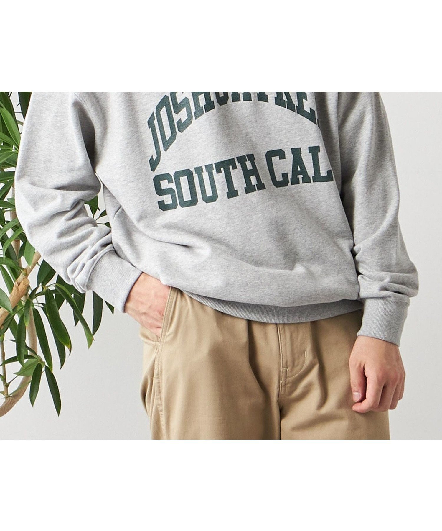 【シップス フォー ウィメン/SHIPS】の【WEB限定】SHIPS any NATIONAL PARK プリント スウェット 23AW インテリア・キッズ・メンズ・レディースファッション・服の通販 founy(ファニー) 　ファッション　Fashion　レディースファッション　Fashion for Women　トップス・カットソー　Cut & Sew Tops　レディースパーカー・カジュアルフーディー　Casual Hoodies & Sweatshirts　スウェット・クルーネックトップス　Sweatshirts & Crewnecks / Relaxed Fit Sweat Tops　インナー　Innerwear　クッション　Cushion, Throw Pillow　シルバー　Silver, Metallic Silver　スウェット / スエット　Sweatshirt, Sweatwear　トレンド　Trend, Trending Now　フロント　Front, Front Design　プリント　Print, Printed Pattern　冬　Winter / This Winter　おすすめ　Recommended / Our Picks　2023年　2023　2023-2024秋冬・A/W　Autumn/Winter 2023–24 AW23–24　ライトグレー|ID: prp329100004817422 ipo3291000000034994765