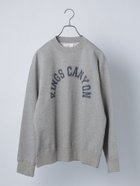 【シップス フォー ウィメン/SHIPS】の【WEB限定】SHIPS any NATIONAL PARK プリント スウェット 23AW 人気、トレンドファッション・服の通販 founy(ファニー) ファッション Fashion レディースファッション Fashion for Women トップス・カットソー Cut & Sew Tops レディースパーカー・カジュアルフーディー Casual Hoodies & Sweatshirts スウェット・クルーネックトップス Sweatshirts & Crewnecks / Relaxed Fit Sweat Tops インナー Innerwear クッション Cushion, Throw Pillow シルバー Silver, Metallic Silver スウェット / スエット Sweatshirt, Sweatwear トレンド Trend, Trending Now フロント Front, Front Design プリント Print, Printed Pattern 冬 Winter / This Winter おすすめ Recommended / Our Picks 2023年 2023 2023-2024秋冬・A/W Autumn/Winter 2023–24 AW23–24 thumbnail グレー|ID: prp329100004817422 ipo3291000000034994768