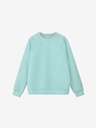 【ザ ノース フェイス/THE NORTH FACE】の【公式】テックエアースウェットクルー(レディース) 人気、トレンドファッション・服の通販 founy(ファニー) ファッション Fashion レディースファッション Fashion for Women トップス・カットソー Cut & Sew Tops レディースパーカー・カジュアルフーディー Casual Hoodies & Sweatshirts スウェット・クルーネックトップス Sweatshirts & Crewnecks / Relaxed Fit Sweat Tops ストレッチ Stretch, Stretchy Fabric フィット Fit, Slim Fit リラックス Relax, Relaxed Fit 軽量 Lightweight, Ultra Light thumbnail ブルーエクリプス|ID: prp329100004817816 ipo3291000000035000159