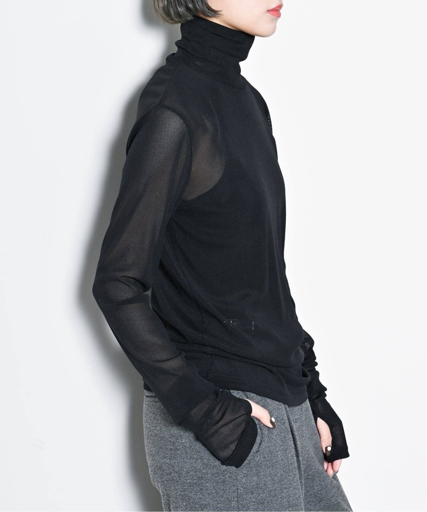 【シティーショップ/CITYSHOP】の《追加 4》SHEER HIGH NECK TOP カットソー インテリア・キッズ・メンズ・レディースファッション・服の通販 founy(ファニー) 　ファッション　Fashion　レディースファッション　Fashion for Women　トップス・カットソー　Cut & Sew Tops　カットソー・ベーシックTシャツ　Cut-and-Sewn Tops / Stretch Tees & Basics　インナー　Innerwear　春　Spring　カットソー　Cut and Sewn Top　キャミソール　Camisole, Spaghetti Strap Top　シアー　Sheer, See-Through　ストッキング　Stockings, Sheer Tights　ストレッチ　Stretch, Stretchy Fabric　ハイネック　High Neck, Mock Neck　フィット　Fit, Slim Fit　ベーシック　Basic, Essential　ロング　Long, Long-Length　A/W・秋冬　Autumn/Winter　S/S・春夏　SS, Spring/Summer, Warm Season　夏　Summer　2025年　2025　2025-2026秋冬・A/W　Autumn/Winter 2025–26 AW25–26　ブラック|ID: prp329100004818472 ipo3291000000035007673