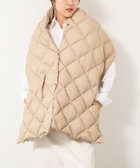【ノーリーズ/NOLLEY'S】の【WEB限定】【TAION/タイオン】別注ダウンストール 人気、トレンドファッション・服の通販 founy(ファニー) ファッション Fashion レディースファッション Fashion for Women インナー Innerwear ストール Stole, Wrap ダウン Down, Puffer ポケット Pocket, Pocket Detail ポーチ Pouch, Small Case 別注 Limited Edition, Custom Order おすすめ Recommended / Our Picks 2025年 2025 2025-2026秋冬・A/W Autumn/Winter 2025–26 AW25–26 thumbnail ベージュ|ID: prp329100004818640 ipo3291000000035009020