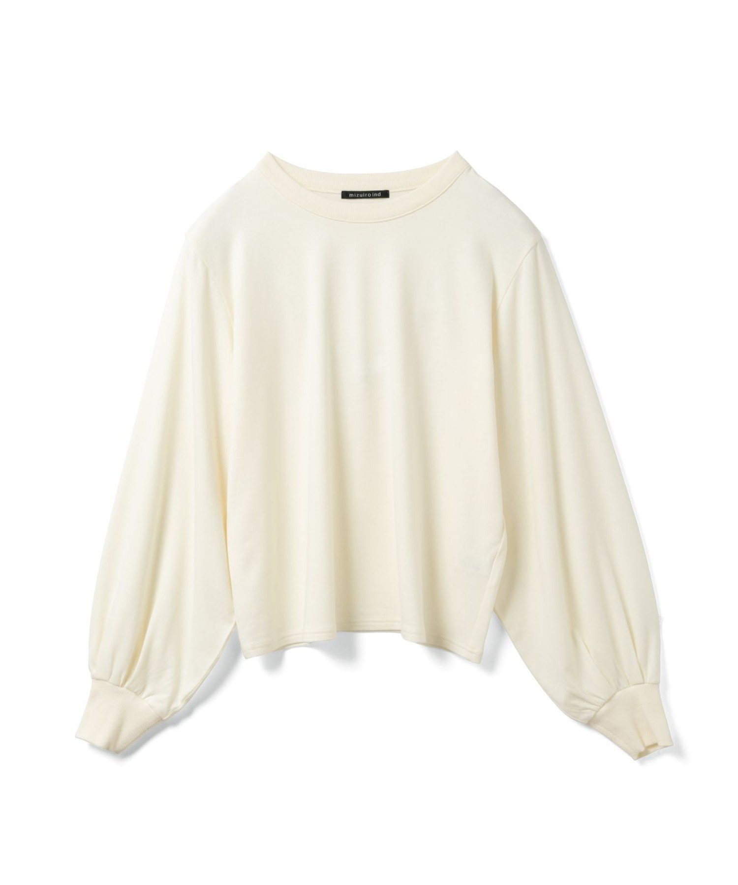 【マーコート/MARcourt】のmizuiro ind ヘアリーパフスリーブロングTシャツ 人気、トレンドファッション・服の通販 founy(ファニー) 　ファッション　Fashion　レディースファッション　Fashion for Women　トップス・カットソー　Cut & Sew Tops　シャツ・ブラウス・オフィスカジュアル　Elegant Blouses & Button-Ups　ロングTシャツ・Tシャツ　Longline T-Shirts & Tees　ウォーム　Warm Fabric　カットソー　Cut and Sewn Top　ベスト　Vest, Waistcoat　ポケット　Pocket, Pocket Detail　人気　Popular, Best Seller　無地　Plain, Solid Color　長袖　Long Sleeve, Full Sleeve　 other-1|ID: prp329100004818641 ipo3291000000035009021