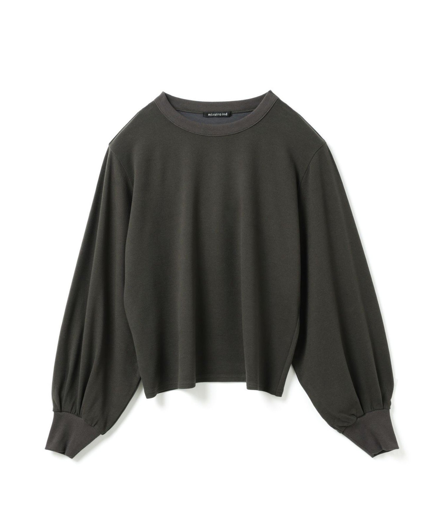 【マーコート/MARcourt】のmizuiro ind ヘアリーパフスリーブロングTシャツ インテリア・キッズ・メンズ・レディースファッション・服の通販 founy(ファニー) 　ファッション　Fashion　レディースファッション　Fashion for Women　トップス・カットソー　Cut & Sew Tops　シャツ・ブラウス・オフィスカジュアル　Elegant Blouses & Button-Ups　ロングTシャツ・Tシャツ　Longline T-Shirts & Tees　ウォーム　Warm Fabric　カットソー　Cut and Sewn Top　ベスト　Vest, Waistcoat　ポケット　Pocket, Pocket Detail　人気　Popular, Best Seller　無地　Plain, Solid Color　長袖　Long Sleeve, Full Sleeve　ブラウン|ID: prp329100004818641 ipo3291000000035009024