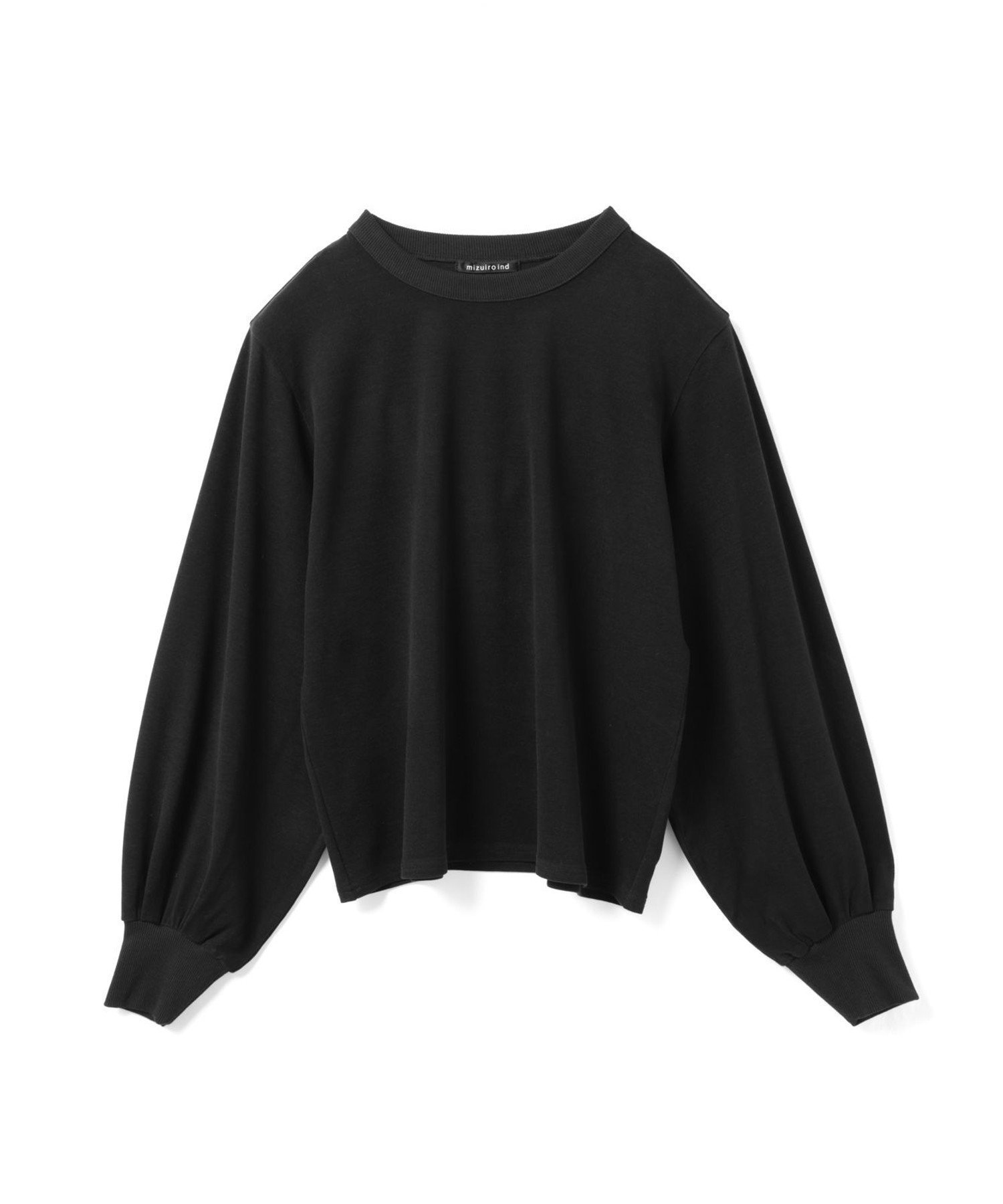 【マーコート/MARcourt】のmizuiro ind ヘアリーパフスリーブロングTシャツ インテリア・キッズ・メンズ・レディースファッション・服の通販 founy(ファニー) 　ファッション　Fashion　レディースファッション　Fashion for Women　トップス・カットソー　Cut & Sew Tops　シャツ・ブラウス・オフィスカジュアル　Elegant Blouses & Button-Ups　ロングTシャツ・Tシャツ　Longline T-Shirts & Tees　ウォーム　Warm Fabric　カットソー　Cut and Sewn Top　ベスト　Vest, Waistcoat　ポケット　Pocket, Pocket Detail　人気　Popular, Best Seller　無地　Plain, Solid Color　長袖　Long Sleeve, Full Sleeve　ブラック|ID: prp329100004818641 ipo3291000000035009026
