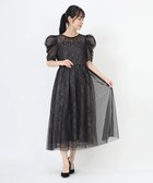 【ストロベリーフィールズ/STRAWBERRY FIELDS】のドットチュールレイヤードドレス 人気、トレンドファッション・服の通販 founy(ファニー) ファッション Fashion レディースファッション Fashion for Women ワンピース Dresses フォーマル・パーティードレス・結婚式用ドレス Elegant & Casual Dresses thumbnail ブラック2|ID: prp329100004820448 ipo3291000000035028642