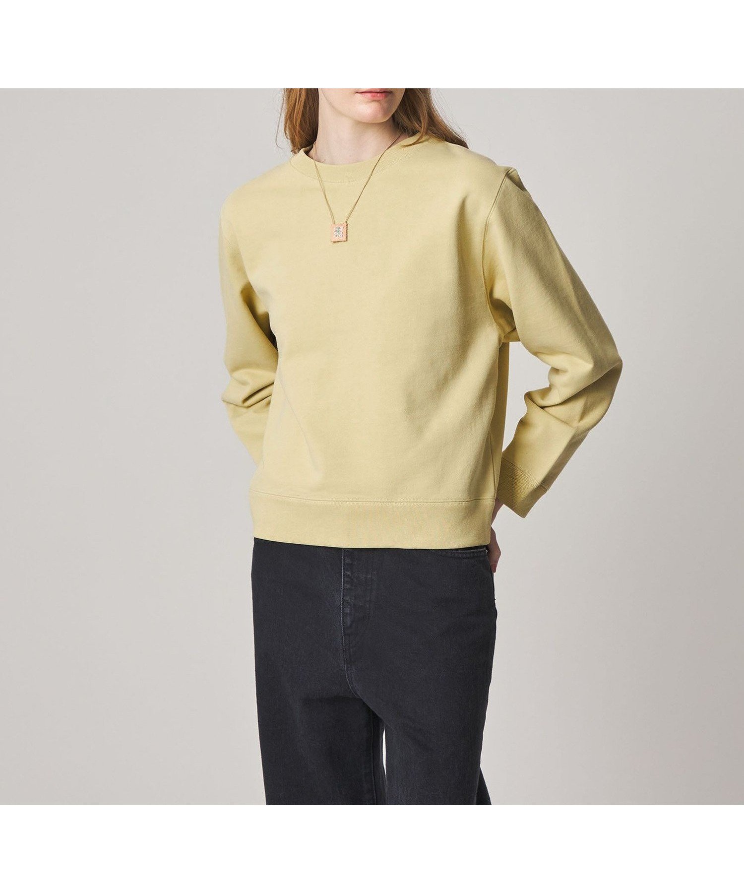 【ビューティ&ユース ユナイテッドアローズ/BEAUTY&YOUTH / UNITED ARROWS】のSteven Alan クリア スウェット プルオーバー 人気、トレンドファッション・服の通販 founy(ファニー) 　ファッション　Fashion　レディースファッション　Fashion for Women　トップス・カットソー　Cut & Sew Tops　レディースパーカー・カジュアルフーディー　Casual Hoodies & Sweatshirts　カジュアルプルオーバー・ニットトップス　Pullovers & Knit Tops / Casual Pullovers　スウェット・クルーネックトップス　Sweatshirts & Crewnecks / Relaxed Fit Sweat Tops　アメリカン　American Style　イエロー　Yellow　インナー　Innerwear　カットソー　Cut and Sewn Top　シンプル　Simple, Minimal　スウェット / スエット　Sweatshirt, Sweatwear　ニューヨーク　New York, NYC Style　ベーシック　Basic, Essential　おすすめ　Recommended / Our Picks　 other-1|ID: prp329100004820608 ipo3291000000035030442