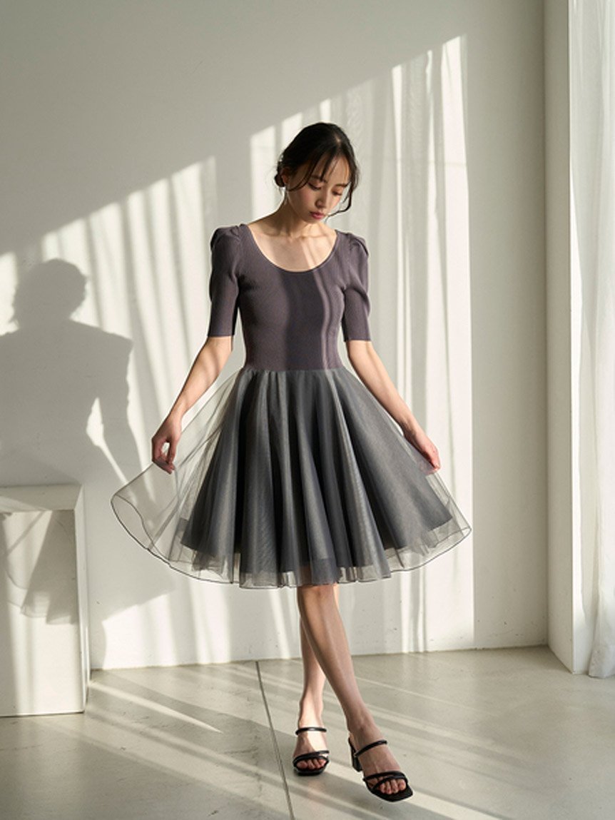 【スナイデル/SNIDEL】の【Chacott】ミニワンピース インテリア・キッズ・メンズ・レディースファッション・服の通販 founy(ファニー) 　ファッション　Fashion　レディースファッション　Fashion for Women　ワンピース　Dresses　コラボ　Collaboration, Collab　シンプル　Simple, Minimal　スマート　Smart, Elegant　チュール　Tulip, Tulip Motif　バレエ　Ballet, Ballet Style　GRY[006]|ID: prp329100004825482 ipo3291000000035099835