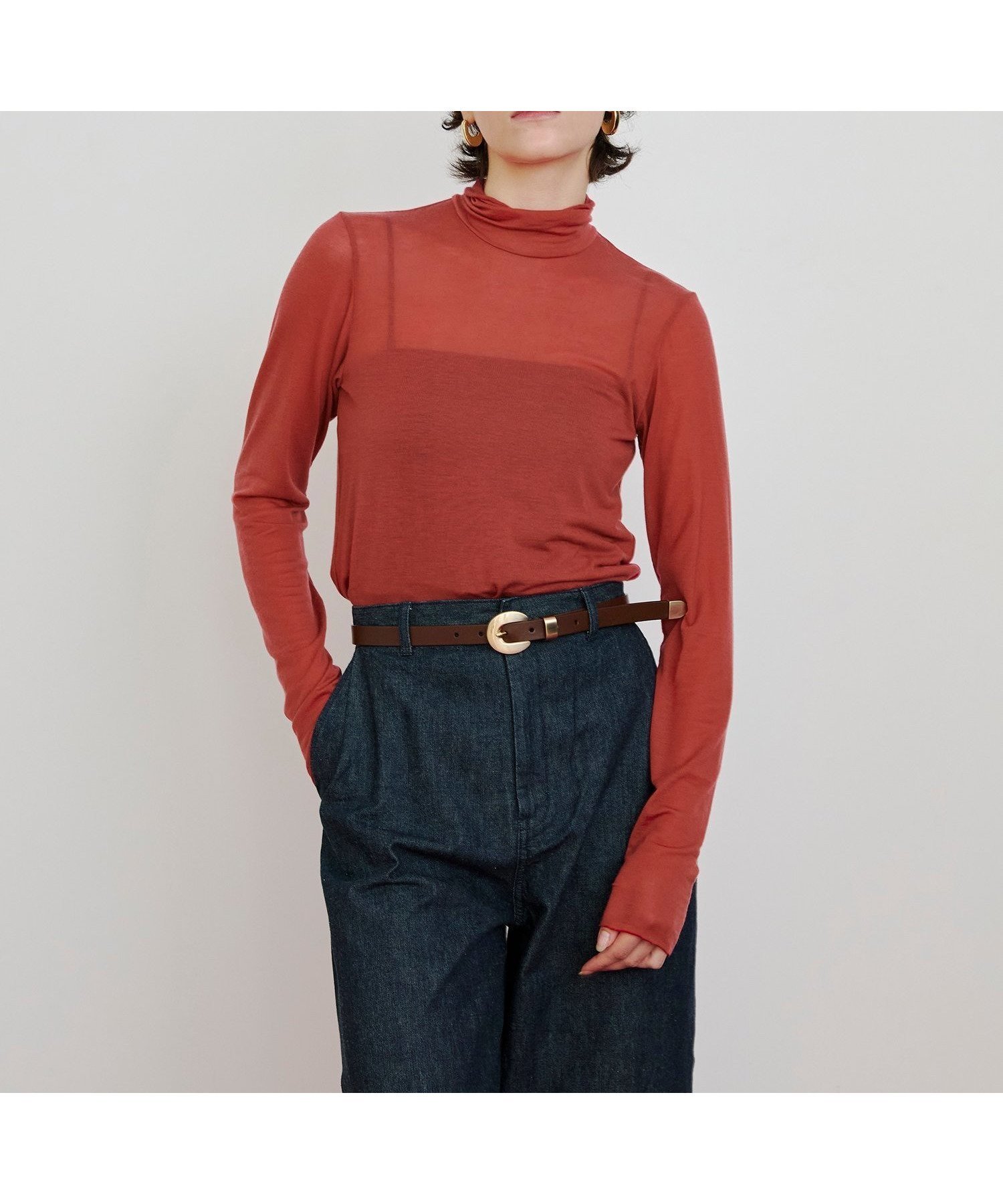 【ハウス オブ ロータス/HOUSE OF LOTUS】のシアータートルネックプルオーバー インテリア・キッズ・メンズ・レディースファッション・服の通販 founy(ファニー) 　ファッション　Fashion　レディースファッション　Fashion for Women　トップス・カットソー　Cut & Sew Tops　カジュアルプルオーバー・ニットトップス　Pullovers & Knit Tops / Casual Pullovers　タートルネック・ハイネックトップス　Turtlenecks & High-Neck Tops　なめらか　Smooth, Silky Texture　カットソー　Cut and Sewn Top　ジャケット　Jacket, Outerwear　ハイネック　High Neck, Mock Neck　ロング　Long, Long-Length　エレガント 上品　Elegant　A/W・秋冬　Autumn/Winter　オレンジ|ID: prp329100004825522 ipo3291000000035100391