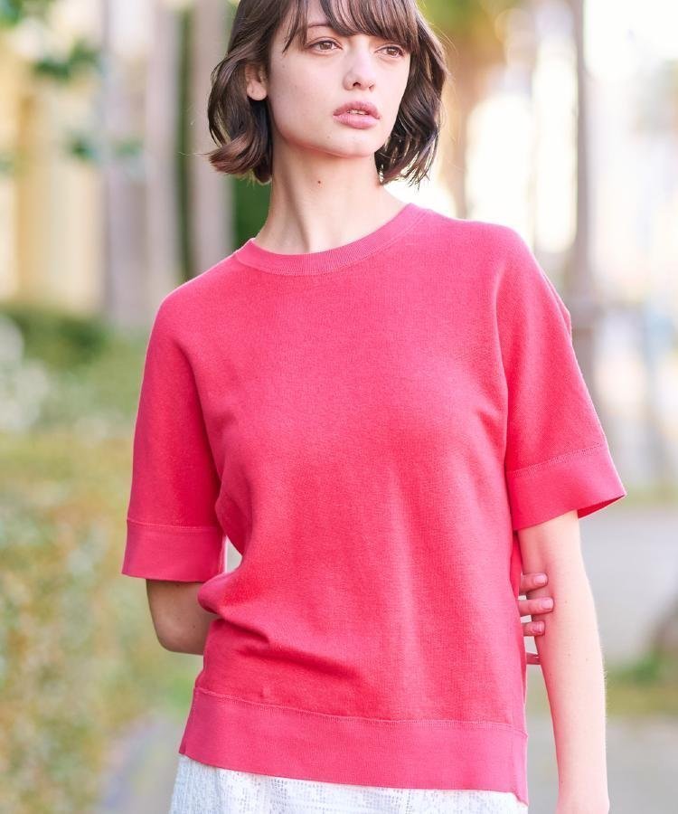 【ドレステリア/DRESSTERIOR】の【毎年人気!/洗える】リネン裏毛ハーフスリーブプルオーバー インテリア・キッズ・メンズ・レディースファッション・服の通販 founy(ファニー) 　ファッション　Fashion　レディースファッション　Fashion for Women　トップス・カットソー　Cut & Sew Tops　カジュアルプルオーバー・ニットトップス　Pullovers & Knit Tops / Casual Pullovers　洗える　Machine Washable　コーティング　Coating, Coated Finish　スマート　Smart, Elegant　スリーブ　Sleeve, Long Sleeve / Short Sleeve　セットアップ　Set-Up, Coordinated Outfit　ドレス　Dress, One-Piece　定番　Standard, Basic Item　人気　Popular, Best Seller　ハーフ　Half, Half-Length　フランス　France, French　リネン　Linen, Linen Fabric　ループ　Loop, Loop Knit　夏　Summer　エレガント 上品　Elegant　ピンク|ID: prp329100004825549 ipo3291000000035100561