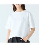 【ラコステ/LACOSTE】の裾口ドローストリング入りクロップド5分袖 半袖Tシャツ 人気、トレンドファッション・服の通販 founy(ファニー) ファッション Fashion レディースファッション Fashion for Women トップス・カットソー Cut & Sew Tops シャツ・ブラウス・オフィスカジュアル Elegant Blouses & Button-Ups ロングTシャツ・Tシャツ Longline T-Shirts & Tees クロップド Cropped, Short Length ショート Short, Short Length スリーブ Sleeve, Long Sleeve / Short Sleeve トレンド Trend, Trending Now ドローストリング Drawstring, Pull Cord フェミニン Feminine, Girly ワイド Wide, Wide Fit 半袖 Short Sleeve, Half Sleeve thumbnail ホワイト|ID: prp329100004826267 ipo3291000000035156296