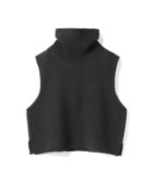 【マーコート/MARcourt】のmizuiro ind ワッフルハイネックベスト 人気、トレンドファッション・服の通販 founy(ファニー) ファッション Fashion レディースファッション Fashion for Women アウター Coat / Outerwear Collection トップス・カットソー Cut & Sew Tops ベスト&ジレ / 重ね着スタイル Vests & Gilets ウォーム Warm Fabric コンパクト Compact, Small Size シンプル Simple, Minimal ノースリーブ Sleeveless, No-Sleeve ハイネック High Neck, Mock Neck ベスト Vest, Waistcoat ポケット Pocket, Pocket Detail ワッフル Waffle, Waffle Knit 人気 Popular, Best Seller thumbnail ブラック|ID: prp329100004827031 ipo3291000000035123199