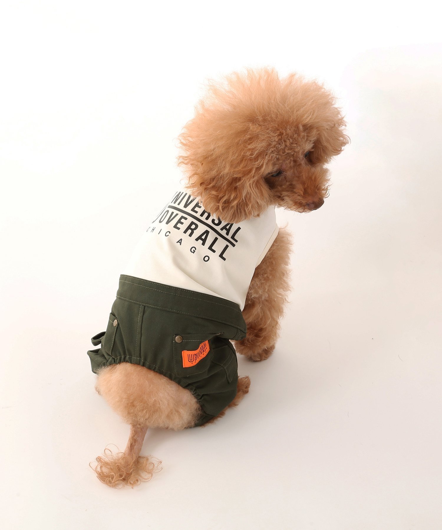 【ユニバーサル オーバーオール/UNIVERSAL OVERALL】のPAINTER PANTS インテリア・キッズ・メンズ・レディースファッション・服の通販 founy(ファニー) 　ファッション　Fashion　レディースファッション　Fashion for Women　パンツ　Pants & Trousers　シンプル　Simple, Minimal　スウェット / スエット　Sweatshirt, Sweatwear　セットアップ　Set-Up, Coordinated Outfit　ツイル　Twist, Twisted Detail　ワーク　Workwear, Utility Style　犬　Dog　KHAKI|ID: prp329100004828265 ipo3291000000035138194