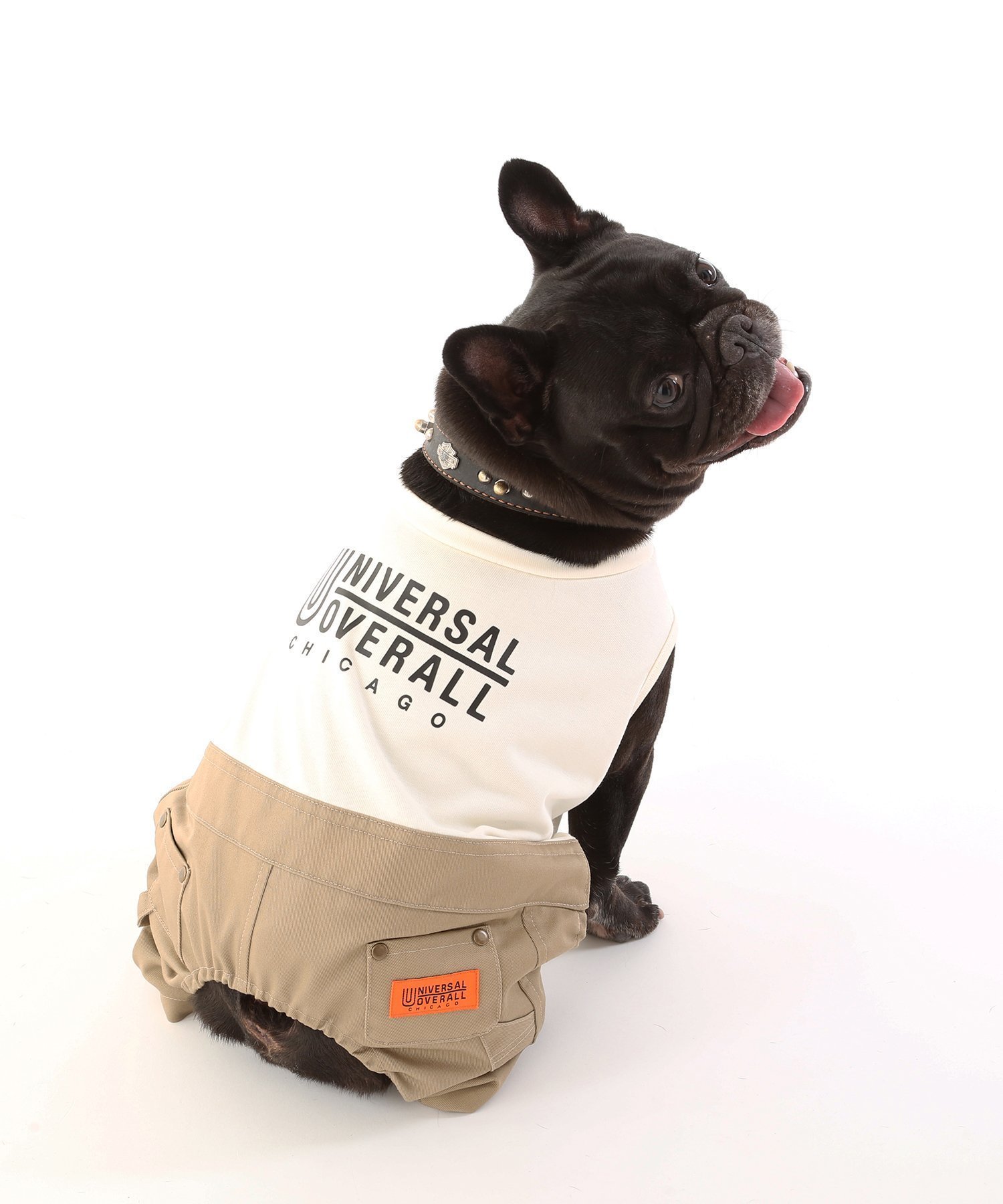 【ユニバーサル オーバーオール/UNIVERSAL OVERALL】のPAINTER PANTS インテリア・キッズ・メンズ・レディースファッション・服の通販 founy(ファニー) 　ファッション　Fashion　レディースファッション　Fashion for Women　パンツ　Pants & Trousers　シンプル　Simple, Minimal　スウェット / スエット　Sweatshirt, Sweatwear　セットアップ　Set-Up, Coordinated Outfit　ツイル　Twist, Twisted Detail　ワーク　Workwear, Utility Style　犬　Dog　BEIGE|ID: prp329100004828265 ipo3291000000035138196