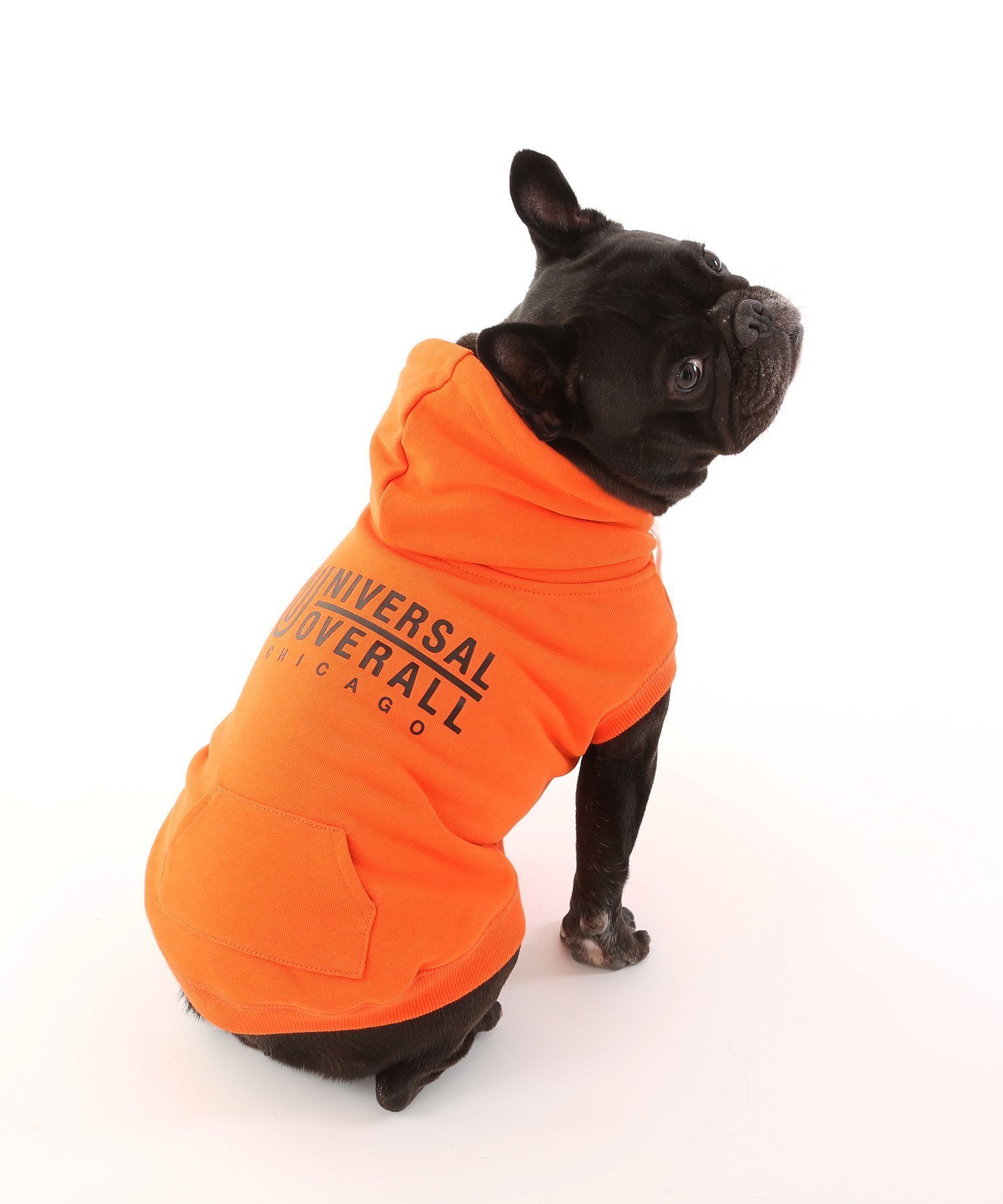 【ユニバーサル オーバーオール/UNIVERSAL OVERALL】のLOGO SWEAT HOODIE インテリア・キッズ・メンズ・レディースファッション・服の通販 founy(ファニー) 　ファッション　Fashion　レディースファッション　Fashion for Women　トップス・カットソー　Cut & Sew Tops　レディースパーカー・カジュアルフーディー　Casual Hoodies & Sweatshirts　スウェット・クルーネックトップス　Sweatshirts & Crewnecks / Relaxed Fit Sweat Tops　アウトドア　Outdoor Clothing　フロント　Front, Front Design　プリント　Print, Printed Pattern　ポケット　Pocket, Pocket Detail　ワーク　Workwear, Utility Style　ORANGE|ID: prp329100004828271 ipo3291000000035138245