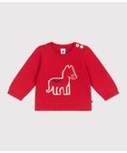 【プチバトー/PETIT BATEAU / KIDS】のニットプルオーバー 人気、トレンドファッション・服の通販 founy(ファニー) ファッション Fashion キッズファッション Fashion for Kids トップス・カットソー Cut & Sew Tops おすすめ Recommended / Our Picks thumbnail レッド/ミルキーホワイト|ID: prp329100004829324 ipo3291000000035148705