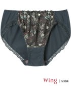 【ウィング/Wing】のウイング ショーツ はきこみ丈あさめ KB4100とペア 人気、トレンドファッション・服の通販 founy(ファニー) ファッション Fashion レディースファッション Fashion for Women ショーツ Shorts, Short Pants ストレッチ Stretch, Stretchy Fabric フィット Fit, Slim Fit フロント Front, Front Design ブラジャー Bra, Lingerie レース Lace, Lace Fabric thumbnail GR|ID: prp329100004829396 ipo3291000000035149451