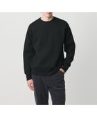 【ユナイテッドアローズ/UNITED ARROWS / MEN】のウール カシミヤ クルーネック スウェットニット 人気、トレンドファッション・服の通販 founy(ファニー) ファッション Fashion メンズファッション Fashion for Men インナー Innerwear カットソー Cut and Sewn Top スウェット / スエット Sweatshirt, Sweatwear ダウン Down, Puffer フォルム Silhouette, Form エレガント 上品 Elegant thumbnail BLACK|ID: prp329100004829501 ipo3291000000035150416