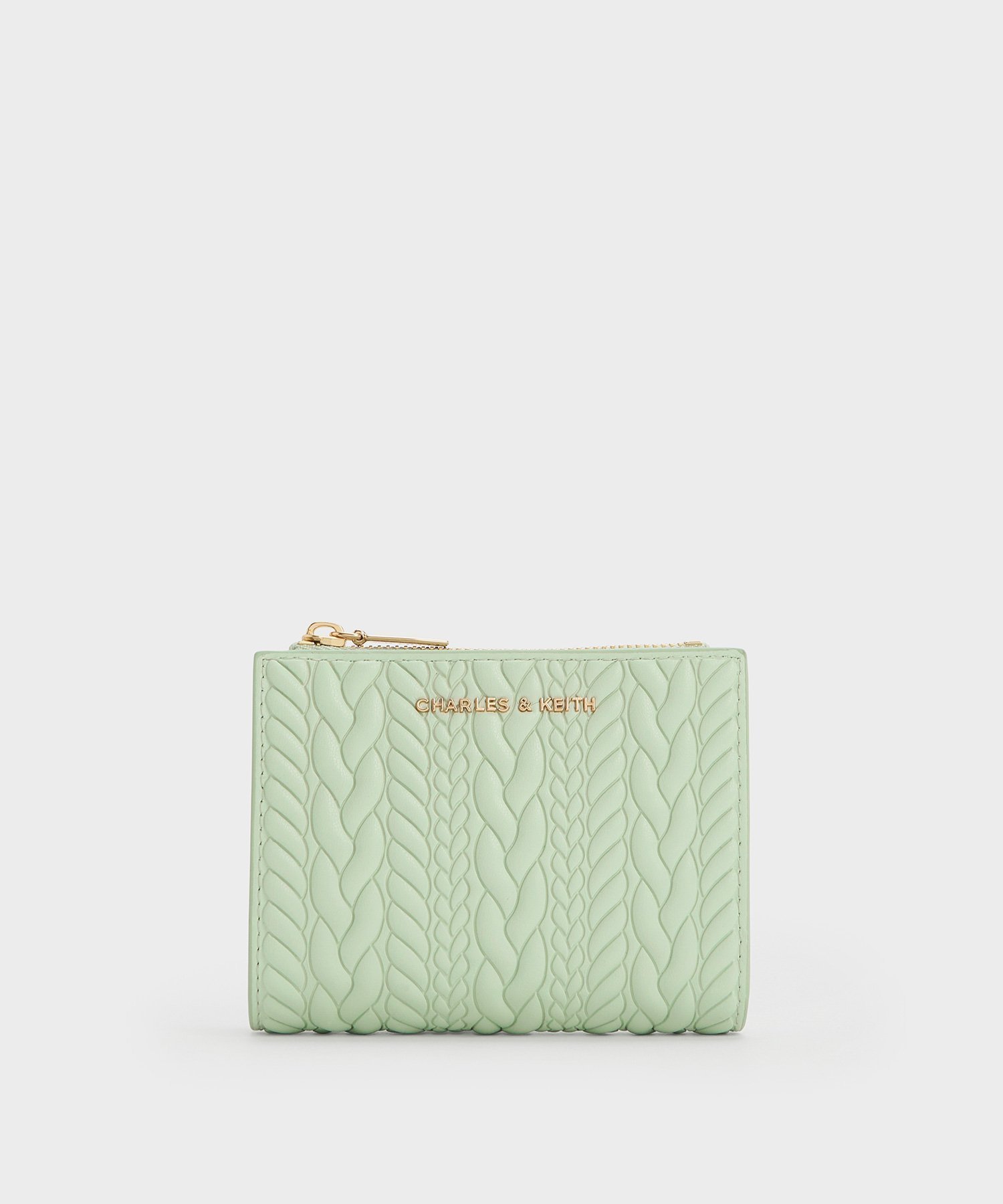 【チャールズ アンド キース/CHARLES & KEITH】のApolline アポリーネ テクスチャートップジップウォレット インテリア・キッズ・メンズ・レディースファッション・服の通販 founy(ファニー) 　ファッション　Fashion　レディースファッション　Fashion for Women　ウォレット　Wallet　スタイリッシュ　Stylish, Fashionable　スマート　Smart, Elegant　トレンド　Trend, Trending Now　ベーシック　Basic, Essential　ポケット　Pocket, Pocket Detail　MintGreen|ID: prp329100004829513 ipo3291000000035150481