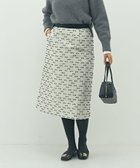 【ノーリーズ/NOLLEY'S】の《セットアップ対応》ウォッシャブルリボンジャガードAラインスカート 人気、トレンドファッション・服の通販 founy(ファニー) ファッション Fashion レディースファッション Fashion for Women セットアップ Matching Sets スカート・ミニ/ミディ/マキシ Skirts / Mini, Midi & Maxi Skirts スカート Skirts Aライン・フレアスカート A-Line & Flared Skirts セットアップ Set-Up, Coordinated Outfit タフタ Taffeta, Structured Fabric ランダム Random, Irregular リボン Ribbon, Bow おすすめ Recommended / Our Picks 日本製 Made In Japan エレガント 上品 Elegant セレモニー Ceremony 2025年 2025 2025-2026秋冬・A/W Autumn/Winter 2025–26 AW25–26 thumbnail ベージュ系その他|ID: prp329100004830312 ipo3291000000035159655