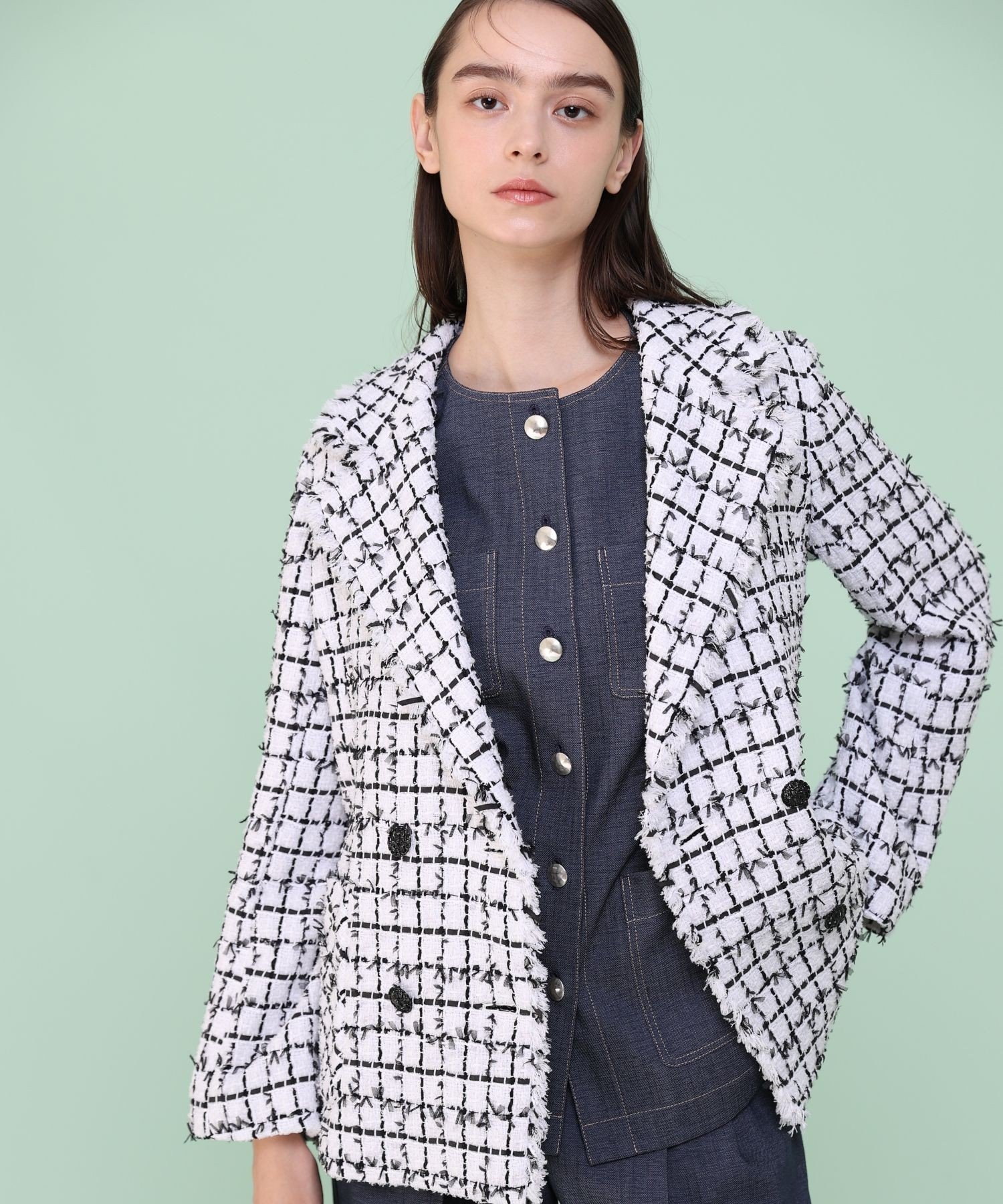 【アナイ/ANAYI】のチュールツイードダブル ジャケット インテリア・キッズ・メンズ・レディースファッション・服の通販 founy(ファニー) 　ファッション　Fashion　レディースファッション　Fashion for Women　アウター　Coat / Outerwear Collection　レディースジャケット・軽アウター　Jackets　コレクション　Collection, Seasonal Line　ジャケット　Jacket, Outerwear　スペシャル　Special, Limited Edition　スマート　Smart, Elegant　ダブル　Double, Double-Breasted　チェック　Check, Plaid, Tartan　ツイード　Twill, Twill Weave　フェミニン　Feminine, Girly　フォルム　Silhouette, Form　フランス　France, French　フリンジ　Fringe, Tassel　再入荷　Restock / Back in Stock　white|ID: prp329100004830929 ipo3291000000035168754