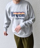 【シップス フォー ウィメン/SHIPS】の【WEB限定】SHIPS any NATIONAL PARK プリント スウェット 24FW (ユニセックス) 人気、トレンドファッション・服の通販 founy(ファニー) ファッション Fashion レディースファッション Fashion for Women トップス・カットソー Cut & Sew Tops レディースパーカー・カジュアルフーディー Casual Hoodies & Sweatshirts スウェット・クルーネックトップス Sweatshirts & Crewnecks / Relaxed Fit Sweat Tops インナー Innerwear クッション Cushion, Throw Pillow グラフィック Graphic, Graphic Design スウェット / スエット Sweatshirt, Sweatwear トレンド Trend, Trending Now フィット Fit, Slim Fit フロント Front, Front Design プリント Print, Printed Pattern リラックス Relax, Relaxed Fit ルーズ Loose, Oversized ワンポイント One Point, Statement Accent 冬 Winter / This Winter おすすめ Recommended / Our Picks thumbnail グレー|ID: prp329100004831057 ipo3291000000035171815