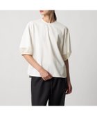 【ドゥロワー/DRAWER】のFALL1 コンビノーカラーカットソーブラウス 人気、トレンドファッション・服の通販 founy(ファニー) ファッション Fashion レディースファッション Fashion for Women トップス・カットソー Cut & Sew Tops シャツ・ブラウス・オフィスカジュアル Elegant Blouses & Button-Ups カットソー・ベーシックTシャツ Cut-and-Sewn Tops / Stretch Tees & Basics なめらか Smooth, Silky Texture シアー Sheer, See-Through スリーブ Sleeve, Long Sleeve / Short Sleeve フォルム Silhouette, Form エレガント 上品 Elegant thumbnail WHITE|ID: prp329100004831070 ipo3291000000035172212