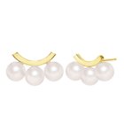 【ララクリスティー/LARA Christie】のピアス レディース あこや真珠 パール 5.0~6.0mm 6珠 PT900/K18 人気、トレンドファッション・服の通販 founy(ファニー) ファッション Fashion レディースファッション Fashion for Women コレクション Collection, Seasonal Line シンプル Simple, Minimal ジュエリー Jewelry, Accessories ネックレス Necklace, Pendant Necklace パール Pearl, Pearl Accent フォルム Silhouette, Form フォーマル Formal, Dressy モダン Modern, Contemporary エレガント 上品 Elegant thumbnail ゴールド|ID: prp329100004834776 ipo3291000000035214170