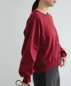 【アーバンリサーチ/URBAN RESEARCH】のスーピマコットンラグランスウェット 人気、トレンドファッション・服の通販 founy(ファニー) ファッション Fashion レディースファッション Fashion for Women トップス・カットソー Cut & Sew Tops レディースパーカー・カジュアルフーディー Casual Hoodies & Sweatshirts スウェット・クルーネックトップス Sweatshirts & Crewnecks / Relaxed Fit Sweat Tops 2025年 2025 2025-2026秋冬・A/W Autumn/Winter 2025–26 AW25–26 冬 Winter / This Winter おすすめ Recommended / Our Picks ショート Short, Short Length シンプル Simple, Minimal スウェット / スエット Sweatshirt, Sweatwear スリーブ Sleeve, Long Sleeve / Short Sleeve デニム Denim, Jeans Material バランス Balance, Style Balance ベーシック Basic, Essential エレガント 上品 Elegant A/W・秋冬 Autumn/Winter thumbnail レッド系その他|ID: prp329100004835137 ipo3291000000035218700