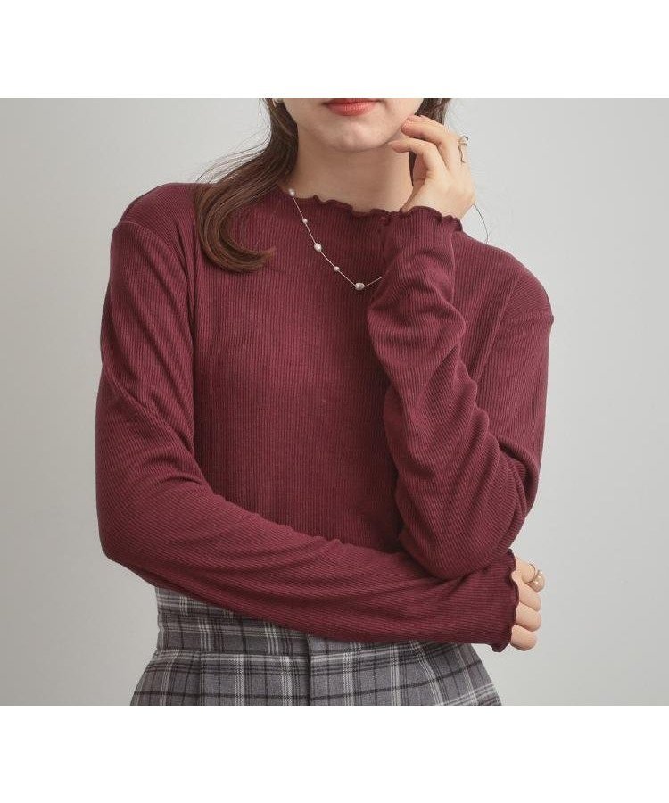 【クチュール ブローチ/Couture Brooch】の【ほんのりシアー・きれいめ】サステナブル テレコインナートップス インテリア・キッズ・メンズ・レディースファッション・服の通販 founy(ファニー) 　ファッション　Fashion　レディースファッション　Fashion for Women　トップス・カットソー　Cut & Sew Tops　2025年　2025　2025-2026秋冬・A/W　Autumn/Winter 2025–26 AW25–26　インナー　Innerwear　カーディガン　Cardigan, Knitwear　シアー　Sheer, See-Through　スマート　Smart, Elegant　テレコ　Ribbed, Rib Stitch　ボトルネック　Bottle Neck, Mock Neck　防寒　Cold Protection, Winter-Ready　ボルドー|ID: prp329100004835287 ipo3291000000035220715