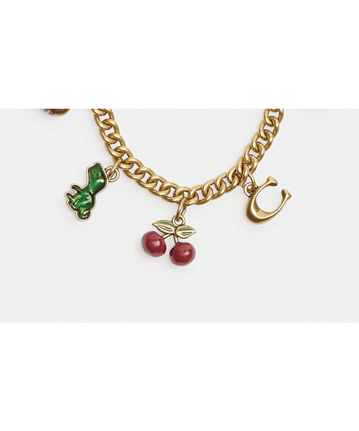 【コーチ/COACH】の【公式】モチーフ チェーン バッグ チャーム 人気、トレンドファッション・服の通販 founy(ファニー) 　ファッション　Fashion　レディースファッション　Fashion for Women　エナメル　Patent Leather　クラシック　Classic, Timeless Style　グラス　Glass, Eyewear　ジュエリー　Jewelry, Accessories　チェーン　Chain, Chain Strap　チャーム　Charm, Pendant　ニューヨーク　New York, NYC Style　メタル　Metal, Metal Parts　モチーフ　Motif, Design Theme　おすすめ　Recommended / Our Picks　ギフト プレゼント　Gift / Present　 other-1|ID: prp329100004835643 ipo3291000000035223157