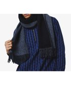 【ラコステ/LACOSTE】のリバーシブルメリノウールマフラー 人気、トレンドファッション・服の通販 founy(ファニー) ファッション Fashion レディースファッション Fashion for Women マフラー・スヌード / 冬小物の定番 Scarves & Mufflers エレガント 上品 Elegant シンプル Simple, Minimal フリンジ Fringe, Tassel thumbnail ブラック×ブラック|ID: prp329100004835698 ipo3291000000035223546