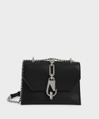 【チャールズ アンド キース/CHARLES & KEITH】のメタリックアクセント ターンロッククロスボディバッグ 人気、トレンドファッション・服の通販 founy(ファニー) ファッション Fashion レディースファッション Fashion for Women バッグ Bags ウォレット Wallet クール Cool, Chic コンパクト Compact, Small Size スマート Smart, Elegant チェーン Chain, Chain Strap ポケット Pocket, Pocket Detail thumbnail Black|ID: prp329100004836243 ipo3291000000035227665