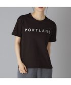 【ドレステリア/DRESSTERIOR】の20/1シルケット風天竺Tシャツ 人気、トレンドファッション・服の通販 founy(ファニー) ファッション Fashion レディースファッション Fashion for Women トップス・カットソー Cut & Sew Tops シャツ・ブラウス・オフィスカジュアル Elegant Blouses & Button-Ups ロングTシャツ・Tシャツ Longline T-Shirts & Tees なめらか Smooth, Silky Texture シルケット Silket, Silky Cotton シルバー Silver, Metallic Silver スマート Smart, Elegant ティアードスカート Tiered Skirt, Flounced Skirt デニム Denim, Jeans Material thumbnail ブラック|ID: prp329100004836385 ipo3291000000035228956