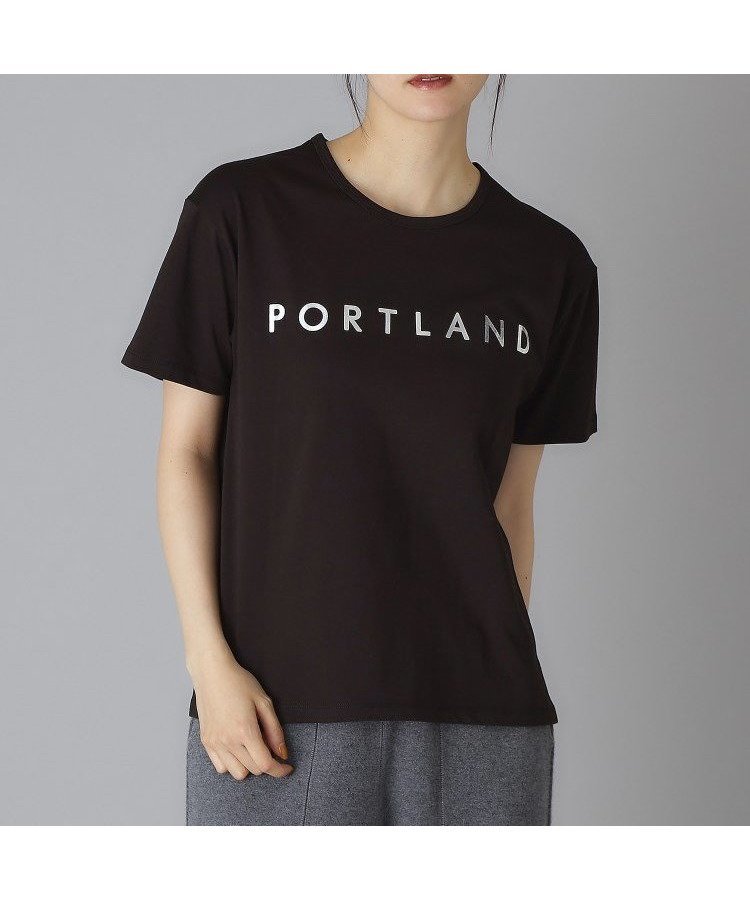 【ドレステリア/DRESSTERIOR】の20/1シルケット風天竺Tシャツ インテリア・キッズ・メンズ・レディースファッション・服の通販 founy(ファニー) 　ファッション　Fashion　レディースファッション　Fashion for Women　トップス・カットソー　Cut & Sew Tops　シャツ・ブラウス・オフィスカジュアル　Elegant Blouses & Button-Ups　ロングTシャツ・Tシャツ　Longline T-Shirts & Tees　なめらか　Smooth, Silky Texture　シルケット　Silket, Silky Cotton　シルバー　Silver, Metallic Silver　スマート　Smart, Elegant　ティアードスカート　Tiered Skirt, Flounced Skirt　デニム　Denim, Jeans Material　ブラック|ID: prp329100004836385 ipo3291000000035228956