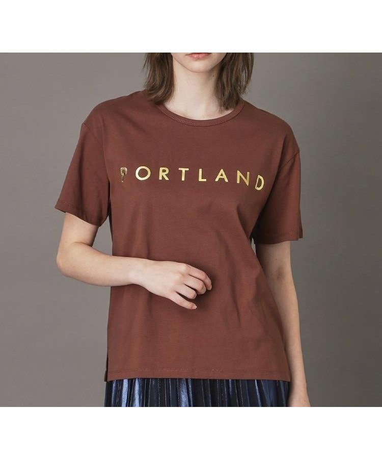 【ドレステリア/DRESSTERIOR】の20/1シルケット風天竺Tシャツ インテリア・キッズ・メンズ・レディースファッション・服の通販 founy(ファニー) 　ファッション　Fashion　レディースファッション　Fashion for Women　トップス・カットソー　Cut & Sew Tops　シャツ・ブラウス・オフィスカジュアル　Elegant Blouses & Button-Ups　ロングTシャツ・Tシャツ　Longline T-Shirts & Tees　なめらか　Smooth, Silky Texture　シルケット　Silket, Silky Cotton　シルバー　Silver, Metallic Silver　スマート　Smart, Elegant　ティアードスカート　Tiered Skirt, Flounced Skirt　デニム　Denim, Jeans Material　ブラウン|ID: prp329100004836385 ipo3291000000035228957