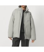 【ユナイテッドアローズ/UNITED ARROWS】のD.O UNITED ARROWS BY DAISUKE OBANA for WOMEN TFT DOWN JACKET/ダウンジャケット 人気、トレンドファッション・服の通販 founy(ファニー) ファッション Fashion レディースファッション Fashion for Women アウター Coat / Outerwear Collection レディースジャケット・軽アウター Jackets エレガント 上品 Elegant コレクション Collection, Seasonal Line ジャケット Jacket, Outerwear スタンド Stand Collar, Upright Stand セットアップ Set-Up, Coordinated Outfit タフタ Taffeta, Structured Fabric ダウン Down, Puffer ドローコード Drawcord, Drawstring Cord 定番 Standard, Basic Item フェザー Feather, Feather Detail フラット Flat, Flat Shoes ポケット Pocket, Pocket Detail 防寒 Cold Protection, Winter-Ready thumbnail LT.GRAY|ID: prp329100004836637 ipo3291000000035233223