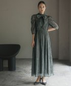 【ガール/GIRL】の【2WAY】リボン付きレース*ドットチュールフレアロング丈 結婚式 ワンピース 人気、トレンドファッション・服の通販 founy(ファニー) ファッション Fashion レディースファッション Fashion for Women ワンピース Dresses スタンド Stand Collar, Upright Stand チュール Tulip, Tulip Motif デコルテ Décolleté, Neckline ドレス Dress, One-Piece フレア Flare, Flared フロント Front, Front Design ヨーク Yoke, Yoke Design リボン Ribbon, Bow レース Lace, Lace Fabric 再入荷 Restock / Back in Stock エレガント 上品 Elegant 結婚式 Wedding thumbnail GRN|ID: prp329100004837633 ipo3291000000035247225