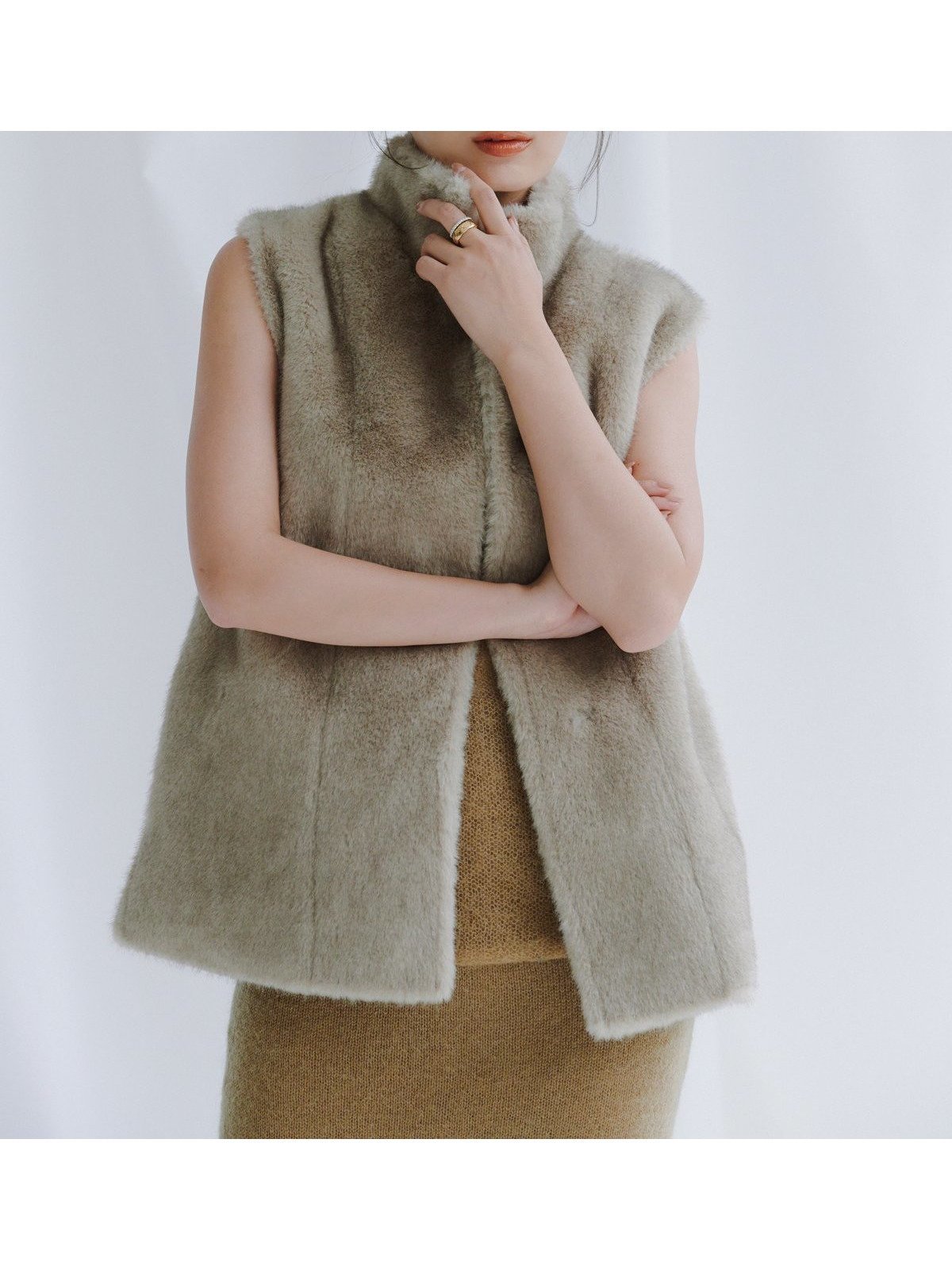 【アニュアンス/anuans】のスタンドカラーファーベスト インテリア・キッズ・メンズ・レディースファッション・服の通販 founy(ファニー) 　ファッション　Fashion　レディースファッション　Fashion for Women　アウター　Coat / Outerwear Collection　トップス・カットソー　Cut & Sew Tops　ベスト&ジレ / 重ね着スタイル　Vests & Gilets　スタンド　Stand Collar, Upright Stand　ベスト　Vest, Waistcoat　ボンディング　Bonding, Bonded Fabric　BEIGE|ID: prp329100004843956 ipo3291000000035308359