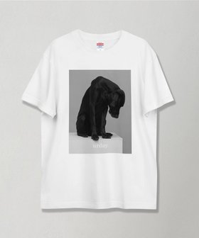 【マミアン/MAMIAN】のurday【Animal/Black Dog/WB】フォトTシャツ 人気、トレンドファッション・服の通販 founy(ファニー) ファッション Fashion レディースファッション Fashion for Women トップス・カットソー Cut & Sew Tops シャツ・ブラウス・オフィスカジュアル Elegant Blouses & Button-Ups ロングTシャツ・Tシャツ Longline T-Shirts & Tees おすすめ Recommended / Our Picks グラフィック Graphic, Graphic Design フィット Fit, Slim Fit プリント Print, Printed Pattern レギュラー Regular, Standard Fit ワーク Workwear, Utility Style 定番 Standard, Basic Item 犬 Dog |ID:prp329100004863593