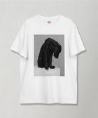 【マミアン/MAMIAN】のurday【Animal/Black Dog/WB】フォトTシャツ 人気、トレンドファッション・服の通販 founy(ファニー) ファッション Fashion レディースファッション Fashion for Women トップス・カットソー Cut & Sew Tops シャツ・ブラウス・オフィスカジュアル Elegant Blouses & Button-Ups ロングTシャツ・Tシャツ Longline T-Shirts & Tees おすすめ Recommended / Our Picks グラフィック Graphic, Graphic Design フィット Fit, Slim Fit プリント Print, Printed Pattern レギュラー Regular, Standard Fit ワーク Workwear, Utility Style 定番 Standard, Basic Item 犬 Dog thumbnail ホワイト|ID: prp329100004863593 ipo3291000000036162768